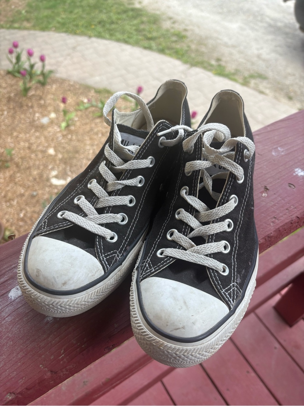 Converse all star Black Low-Top Canvas Sneakers for Women 10